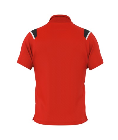 POLO LUIS MC JR